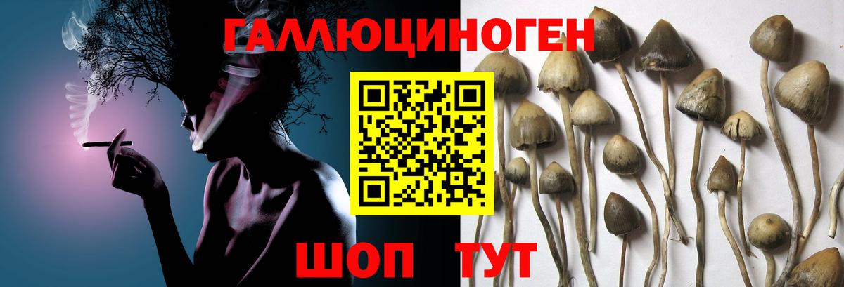 цены   Галлюциногенные грибы мухоморы  Великие Луки  Вход с VPN  Псилоцибиновые грибы GOLDEN TEACHER 